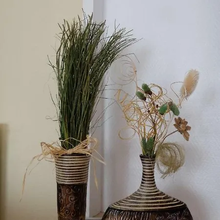 Trachenberge アパート